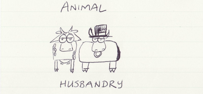 Cartoon drawing of a cow and a bull, made during a meeting related to agriculture.